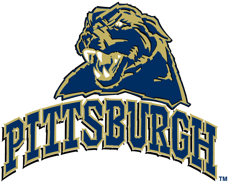 Pittsburgh Panthers 2005-2015 Alternate Logo iron on paper